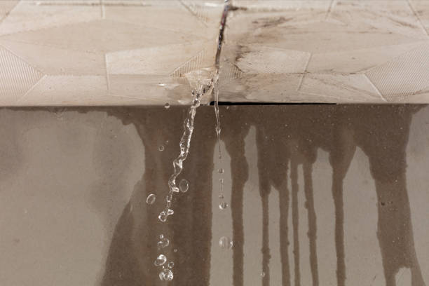 Professional Water Damage Repair technician working in Bath, NC